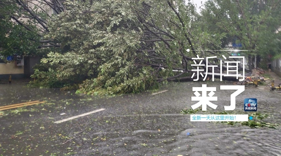 “山竹”怒過，高空塔吊你還好嗎？